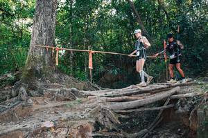 BIB: 
                            <button type="button" onclick="openModal(27306079)" class="btn btn-primary btn-sm float-right btn-popup" data-toggle="modal" data-target=".modal-high-quality">
                        <i class="fas fa-shopping-cart"></i> Add to Cart
                    </button>
                                            <button type="button" onclick="isThisMe(27306079, true)" class="btn btn-success btn-sm float-right btn-popup btn-isme hidden" data-toggle="tooltip" data-placement="bottom" title="นี่คือรูปของคุณใช่ไหม คลิกที่นี่เพื่อเอาเข้าอัลบั้ม">
                        <i class="fas fa-plus"></i> Add to album
                    </button>
                    <button type="button" onclick="isThisMe(27306079, false)" class="btn btn-warning btn-sm float-right btn-popup btn-isnotme hidden">
                        <i class="fas fa-ban"></i> Remove from album
                    </button>